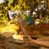 custom hunting Axe Handmade axe gift for hunter man / HB-1408