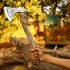 RA-121 Custom Made Handmade Viking Axe, Medieval Axe, Viking Axes, Hiking axe, Tomahawk axe, hunting axe, Valhalla axe, warrior axe, Gift For Men hunting Axe / HB-1409