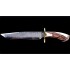  Beautiful Handmade D2 Steel Hunting Bowie Knife with CROWN Stag Handle  & Brass guard -HB1309