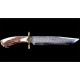  Beautiful Handmade D2 Steel Hunting Bowie Knife with CROWN Stag Handle  & Brass guard -HB1309