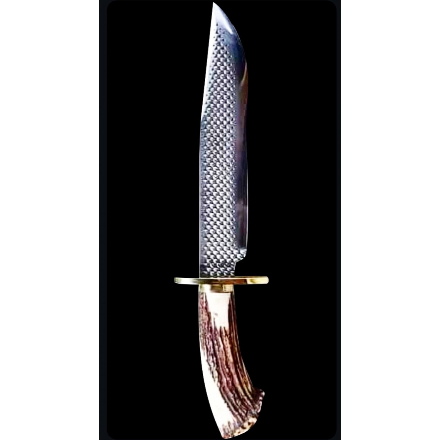  Beautiful Handmade D2 Steel Hunting Bowie Knife with CROWN Stag Handle  & Brass guard -HB1309