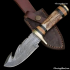 pretty knives   Custom Hand Forged Damascus Steel Full Tang Skinner Knife with Gut Hook - Stag Handle&Dubel Brass Guard HB1209