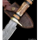 pretty knives   Custom Hand Forged Damascus Steel Full Tang Skinner Knife with Gut Hook - Stag Handle&Dubel Brass Guard HB1209